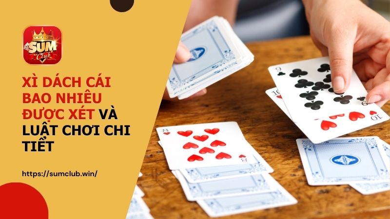 Xì dách cái bao nhiêu được xét và luật chơi chi tiết